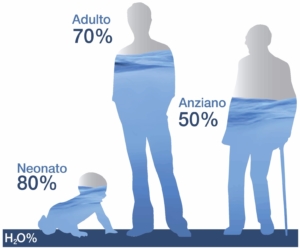 Percentuale d’acqua presente nel corpo umano in età diverse.